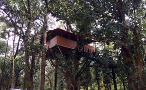 Gallery image of The Brook Resorts & Spa in Yercaud