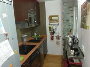 Una pequeña cocina con fregadero y encimera. en Agustina de Aragón, en Zaragoza