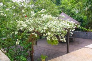 a tree with white flowers on a wooden deck at Casa Pedra Bonita in Rio de Janeiro