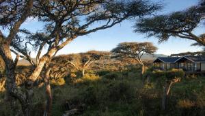 Gallery image of Lions Paw Ngorongoro in Ngorongoro