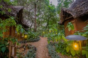 a path through a garden with lights next to houses at Distant Relatives Ecolodge & Backpackers in Kilifi