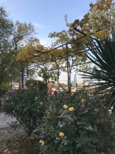 Imagen de la galería de Bethlehem Terrace, en Tiflis