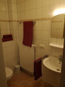 uma pequena casa de banho com WC e lavatório em Hotel & Ristorante Il Duomo em Olpe