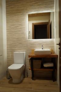 een badkamer met een toilet, een wastafel en een spiegel bij Puente viejo de Buitrago casa Enebro in Buitrago del Lozoya
