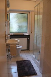 a bathroom with a toilet and a sink and a shower at Appartment in Walldorf mit Schlafzimmer, Küche und Bad in Walldorf