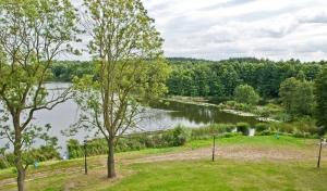 a view of a lake from a park with trees at Zamek Gostynin in Gostynin