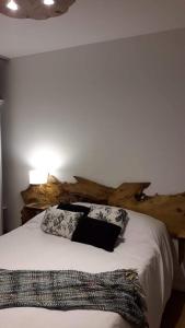 ein Schlafzimmer mit einem Bett mit zwei Kissen darauf in der Unterkunft Bariloche Apart in San Carlos de Bariloche