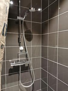 a shower with a shower head in a bathroom at La maisonnette au centre ville in Lens