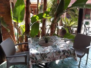 uma mesa e cadeiras num pátio com plantas em Ambassador Lodge Kimberly em Kimberley