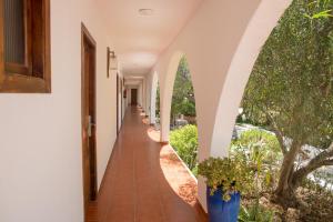 a hallway of a house with an archway and plants at Hostal La Torre Ibiza Cap Negret in San Antonio