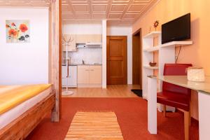 Kuchyň nebo kuchyňský kout v ubytování Apart Solaria - Wohnungen in Au-Schoppernau + 21 fotografií