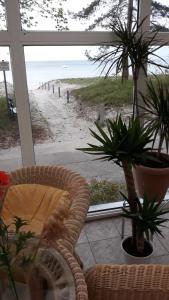 a room with a chair and a view of a beach at Dünenhaus Seensucht in Thiessow