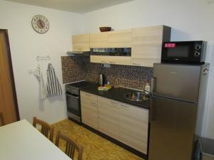 a kitchen with a refrigerator and a sink at Dopravna Alžbětín in Železná Ruda