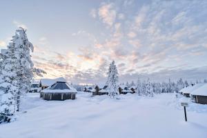 Northern Lights Village Levi a l'hivern