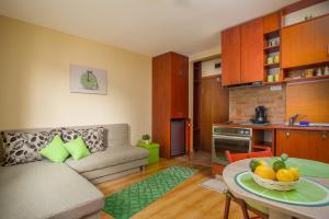 Fotografie z fotogalerie ubytování Green Lime Studio v destinaci Bansko