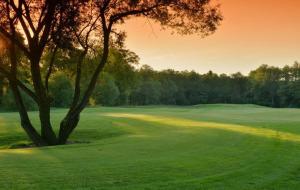 Golf v hotelu nebo okolí