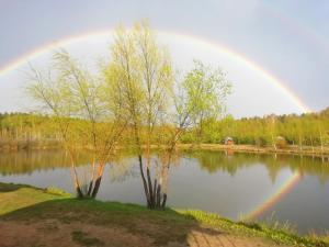 a rainbow over a lake with two trees at Fishing Club Litvinovo in Litvinovo