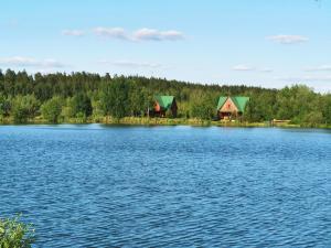 vistas a un lago con casas y árboles en Fishing Club Litvinovo, en Litvinovo