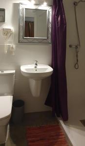 a bathroom with a sink and a toilet and a mirror at Barrio Boutik Hostal in Alicante