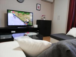 TV a/nebo společenská místnost v ubytování Studio Apartment Lea