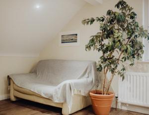 - une chambre avec un lit et une plante en pot dans l'établissement Betty's Loft, à Lisburn