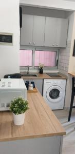 拉克魯斯的住宿－Estudio Neya，厨房配有水槽和洗衣机