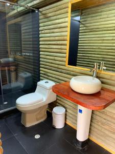a bathroom with a toilet and a sink at Cabañas la odisea in Subachoque +42 photos