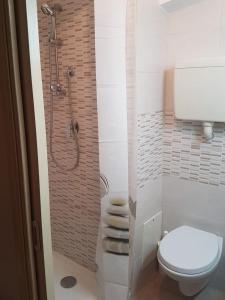uma casa de banho com um WC branco e um chuveiro em B&B Kristina em Quinto Vicentino