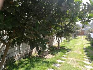 Zahrada ubytování Las Cumbres INN