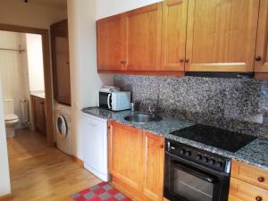 uma cozinha com um lavatório e um fogão em APARTAMENT CA DE GALLISCA B 4PAX em Pla de l'Ermita