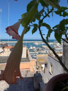 A general sea view or a sea view taken from a panziókat