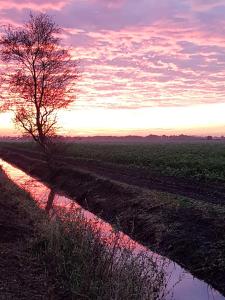 un árbol en un campo con la puesta de sol en el fondo en Drenths Landgoed, Lekker uit en Annerveenschekanaal