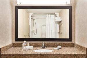 a bathroom with a sink and a mirror at Royal Hotel West Edmonton, Trademark Collection by Wyndham in Edmonton