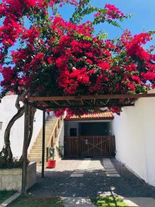 un albero da fiore con fiori rossi su un edificio di Suite Sol - Residencial Vivas a Praia do Forte