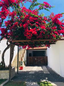 a tree with red flowers on a building with stairs at Suite Lua - Residencial Vivas in Praia do Forte