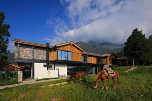 two horses grazing in the grass in front of a house at The Rock Hotel in Lijiang