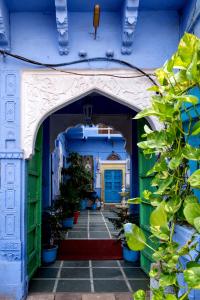 an entrance to a blue building with potted plants at Heritage Gouri Haveli in Jodhpur