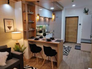 - une cuisine et un salon avec un îlot dans la chambre dans l'établissement Apartment A5 Lux, à Jahorina