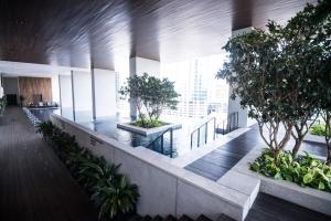 クアラルンプールにあるKL Sentral Bangsar Suites EST BY PSM LUXURY SUITESの木立・植物のオフィスビル廊下
