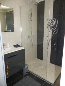 een badkamer met een douche en een glazen deur bij Les Algues du Grau in Le Grau-dʼAgde