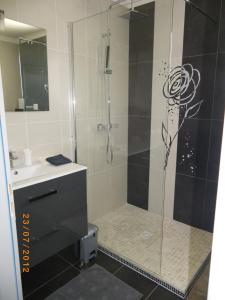 a bathroom with a shower with a glass door at Les Algues du Grau in Le Grau-dʼAgde