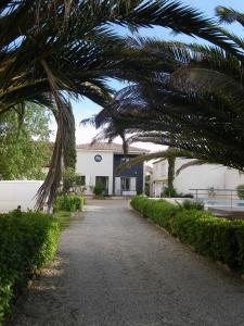a palm tree over a road in front of a building at Les Algues du Grau in Le Grau-dʼAgde