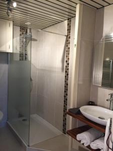une salle de bain avec une douche en verre et un lavabo dans l'établissement Côté Loire, à Amboise 11 autres photos