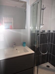 een badkamer met een wastafel en een douche bij T2 Tarnos avec piscine in Tarnos