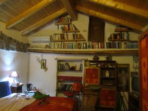 a bedroom with a bed and a book shelf with books at B&B Baita Evelina in San Giorio