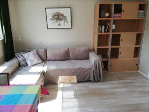 a living room with a couch and a book shelf at Homestay Utrecht in Utrecht