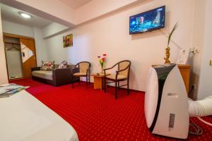 TV a/nebo společenská místnost v ubytování Hotel Sir Orhideea