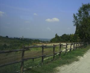 Afbeelding uit fotogalerij van Tenuta I Ginepri in Ozzano dell Emilia +11 foto's