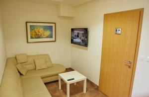 TV a/nebo společenská místnost v ubytování Hostel Delalut + 15 fotografií