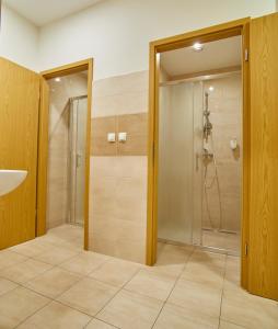baño con ducha y puerta de cristal en Hostel Delalut en Ravne na Koroškem